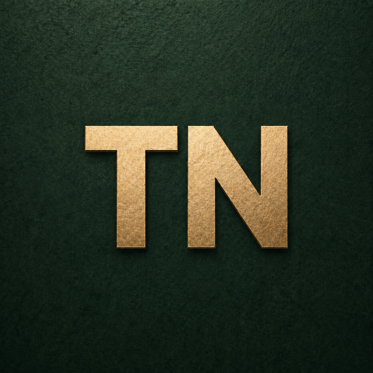 tn-labs.pages.dev favicon